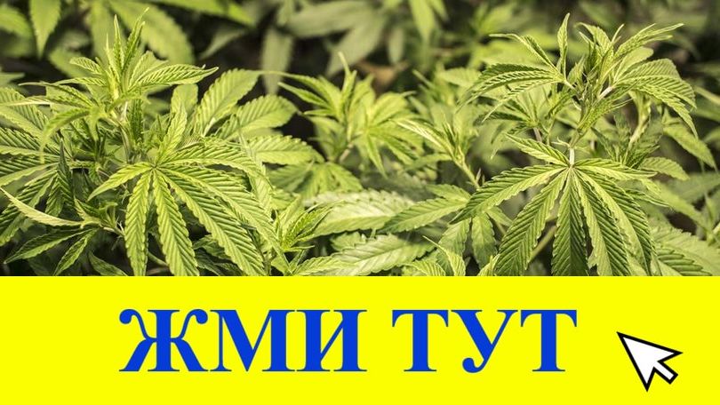 Купить наркотики в Туймазы